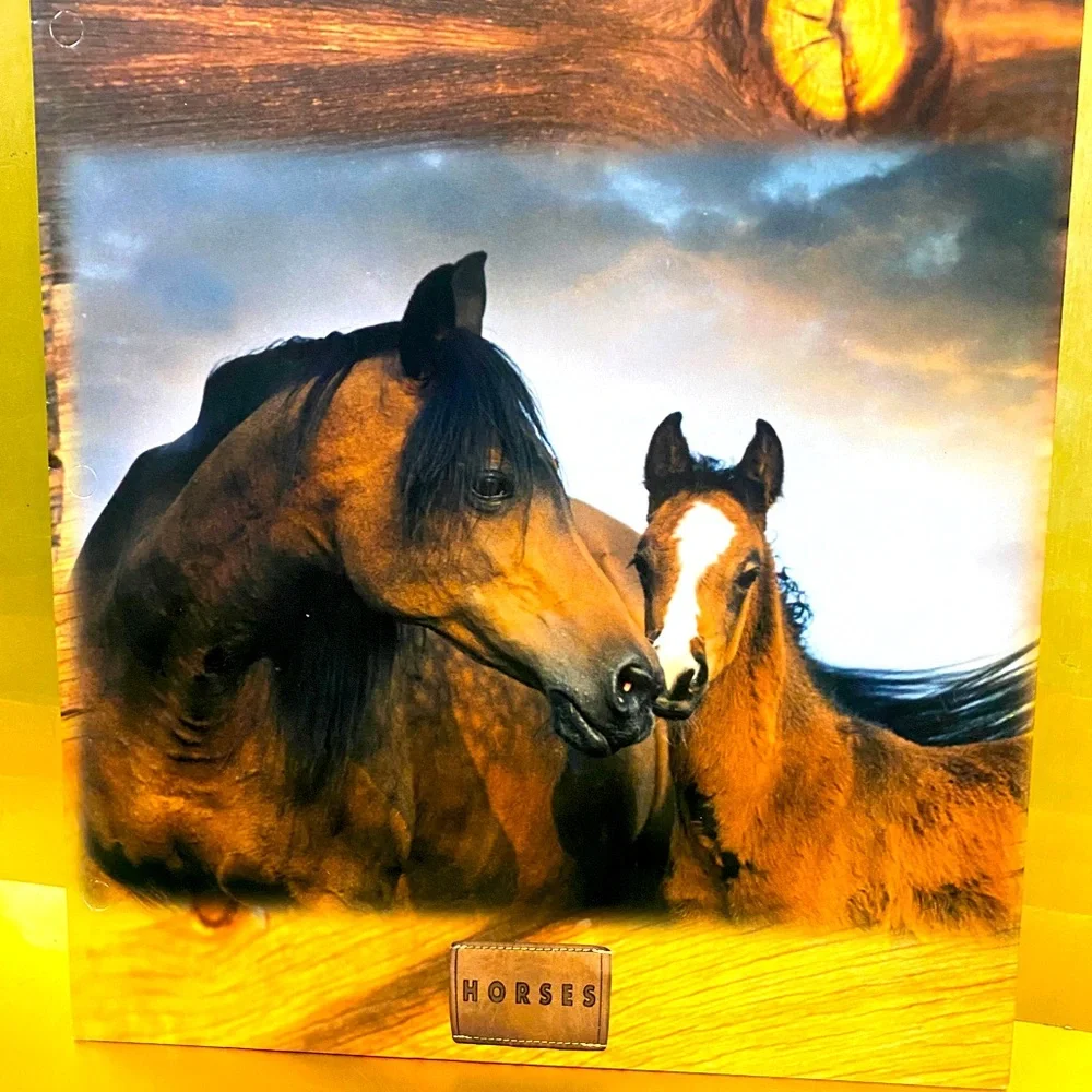 HORSES VINTAGE 90’s PORTFOLIO 3 RING BINDER FOLDERS BUNDLE OF 3 GREAT FOR SCHOOL